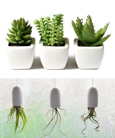 室內(nèi)擺放植物，起到綠色節(jié)能降耗